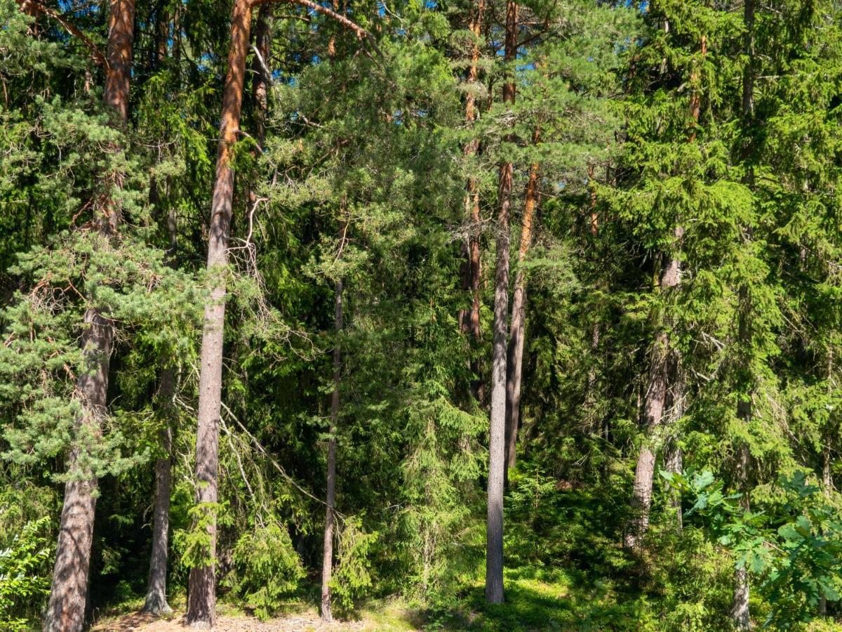 Nature Guest House Võsu Extérieur photo