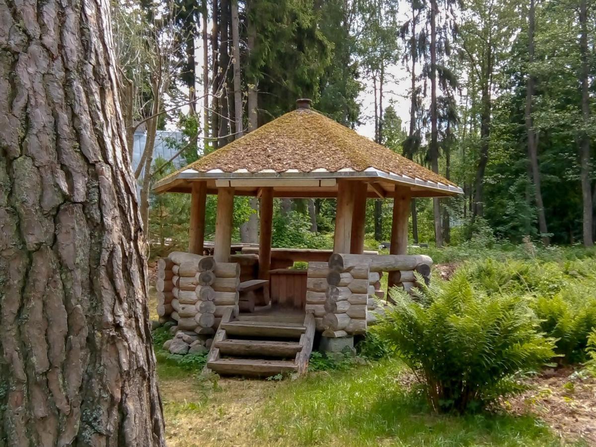 Nature Guest House Võsu Extérieur photo